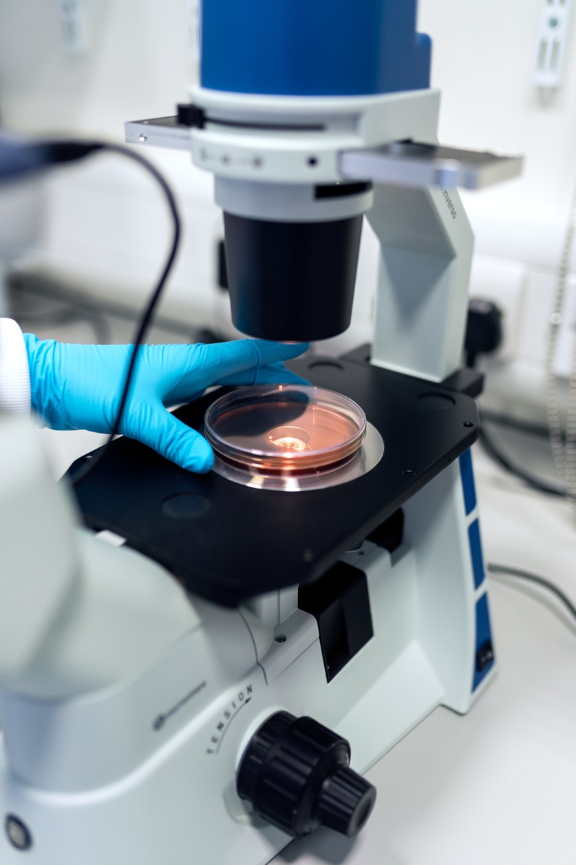A scientist scanning a sample using a Confocal microscope.