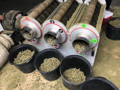 Hemp Trimming Machine Image