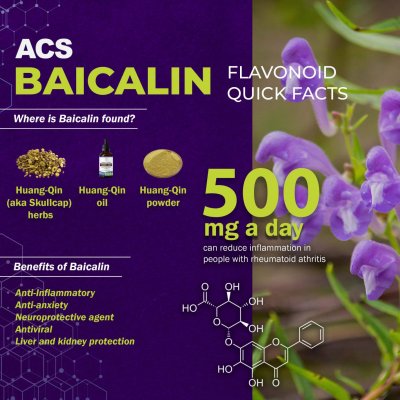 Baicalin hemp flavonoid infographic