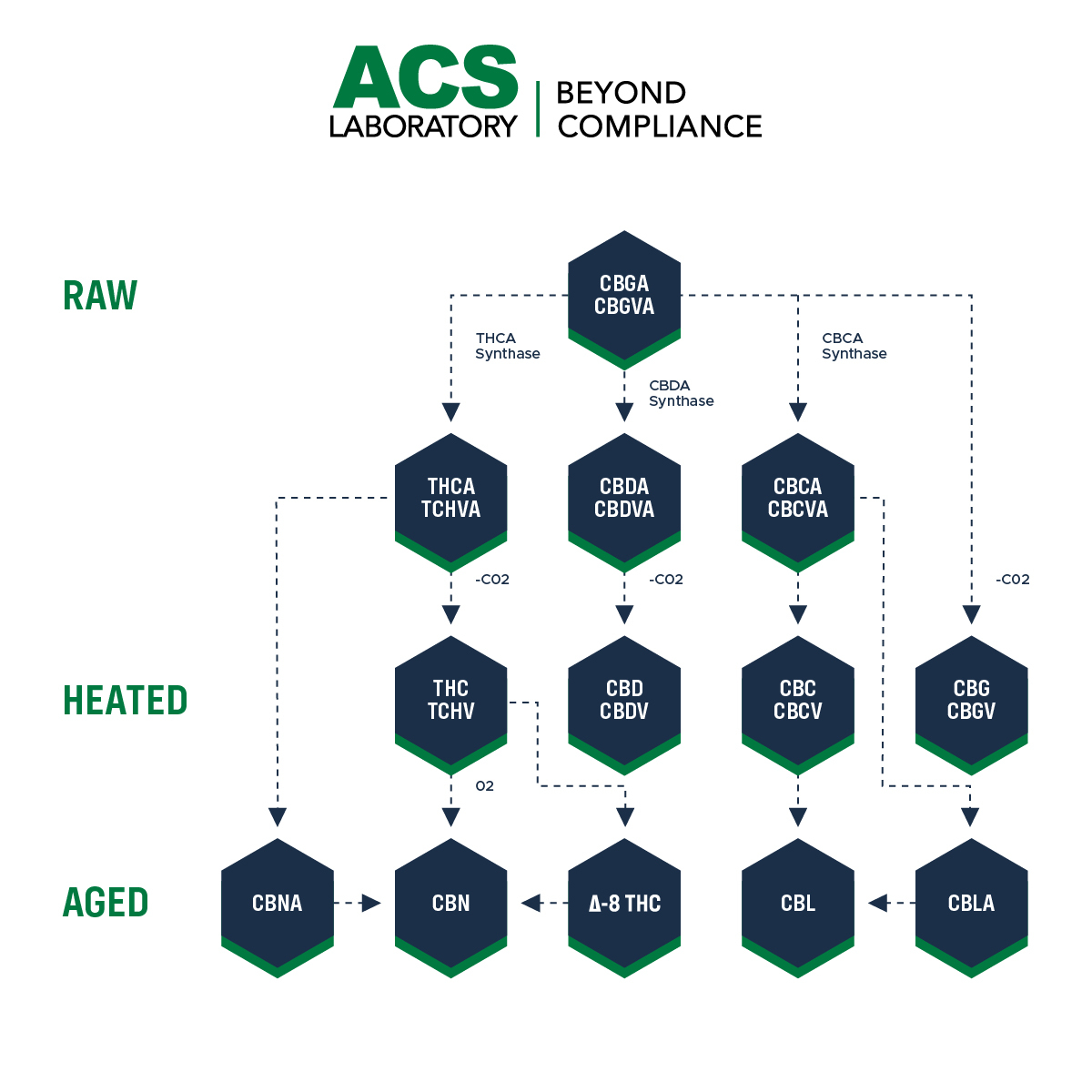 CBGa Grandaddy Cannabinoid Infographic - ACS Laboratory