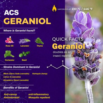 Geraniol Infographic - ACS Laboratory