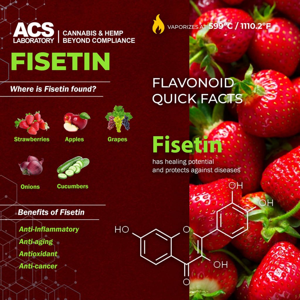 ACS Infographic - Flavonoid Fisetin