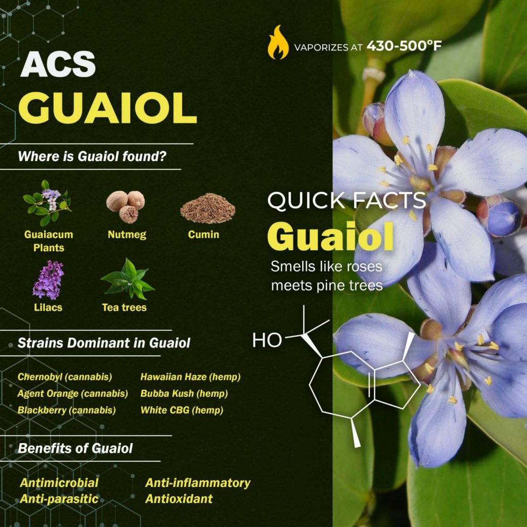 Terpene Guaiol Infographic - ACS Laboratory
