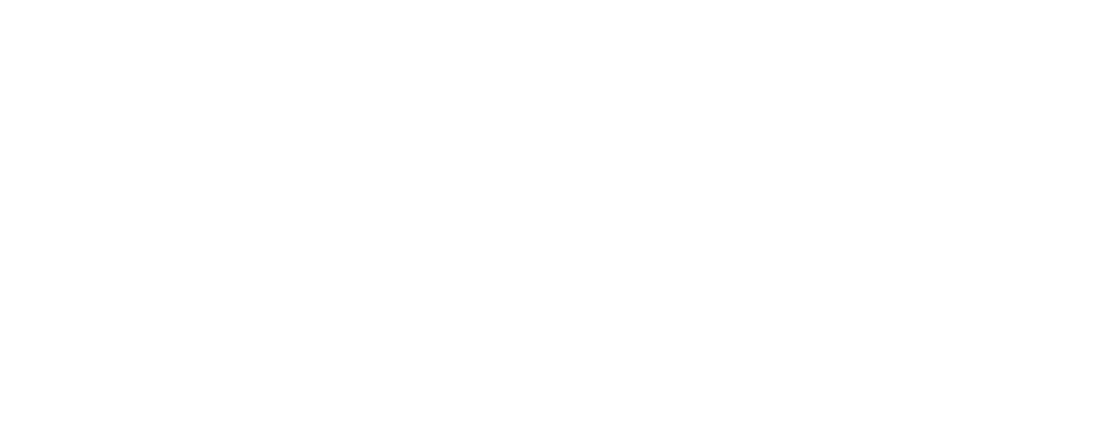 CrowdPoint Eagle Logo
