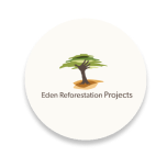 forest logo