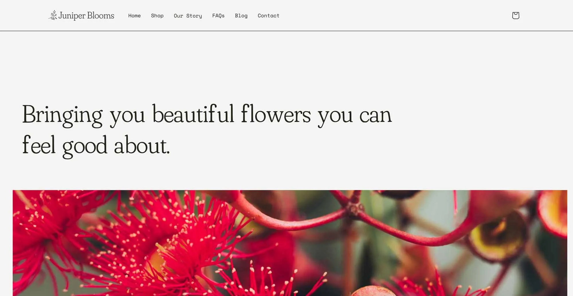 website project