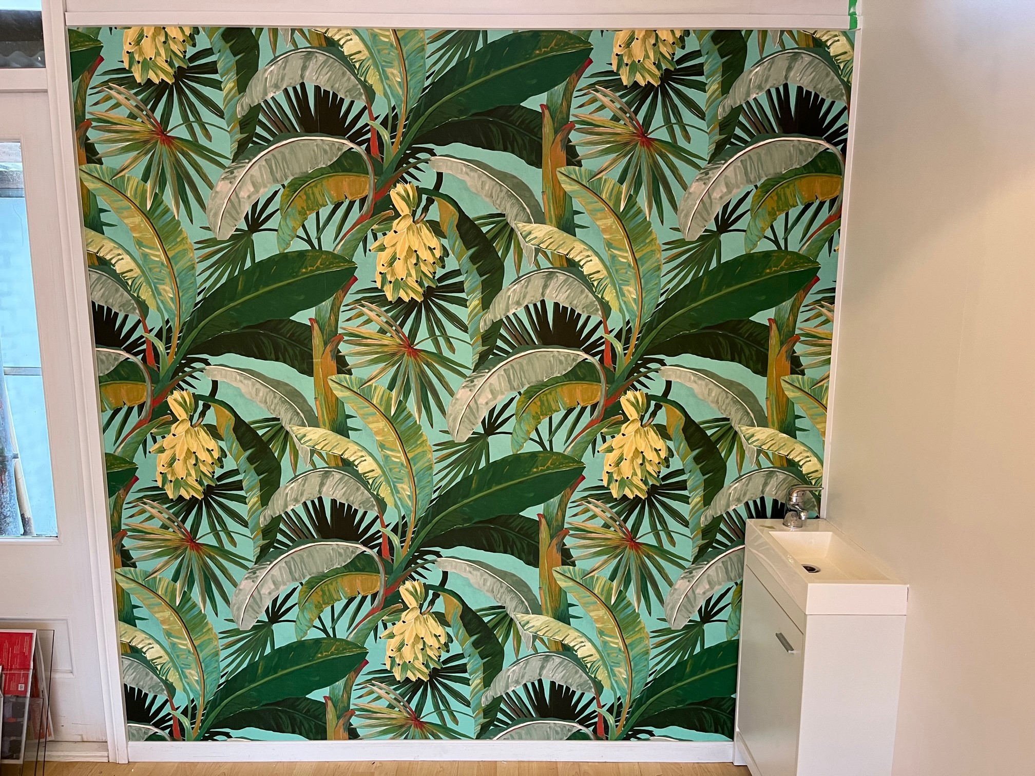 Plaster Paint Protect New Zealand