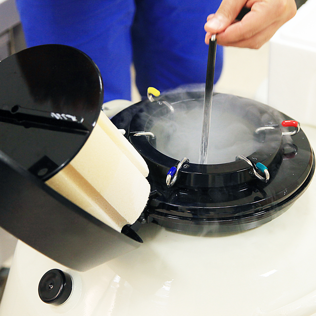 Frozen Embryo Transfer Steps