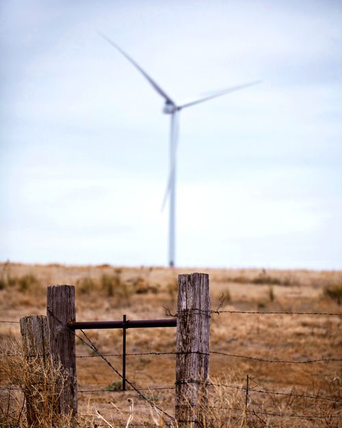 Vestas Autumn Harvest Wind