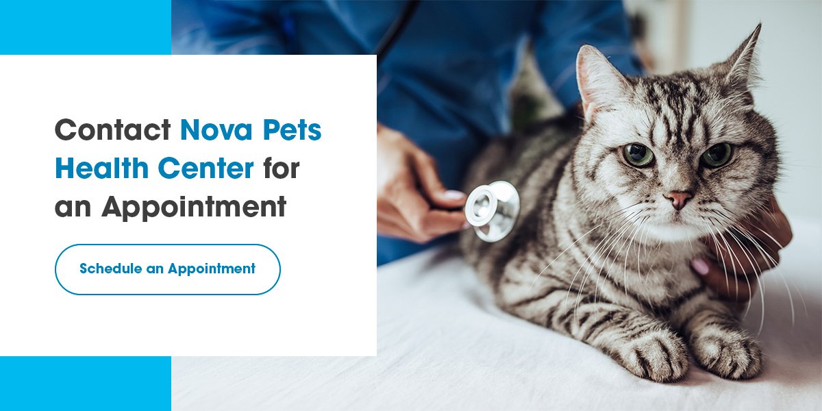 Nova Pets Health Center atelieryuwa.ciao.jp