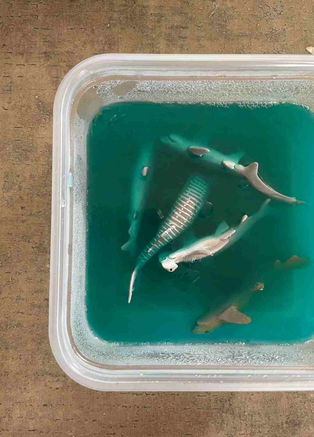 jello with sharks inside of it
