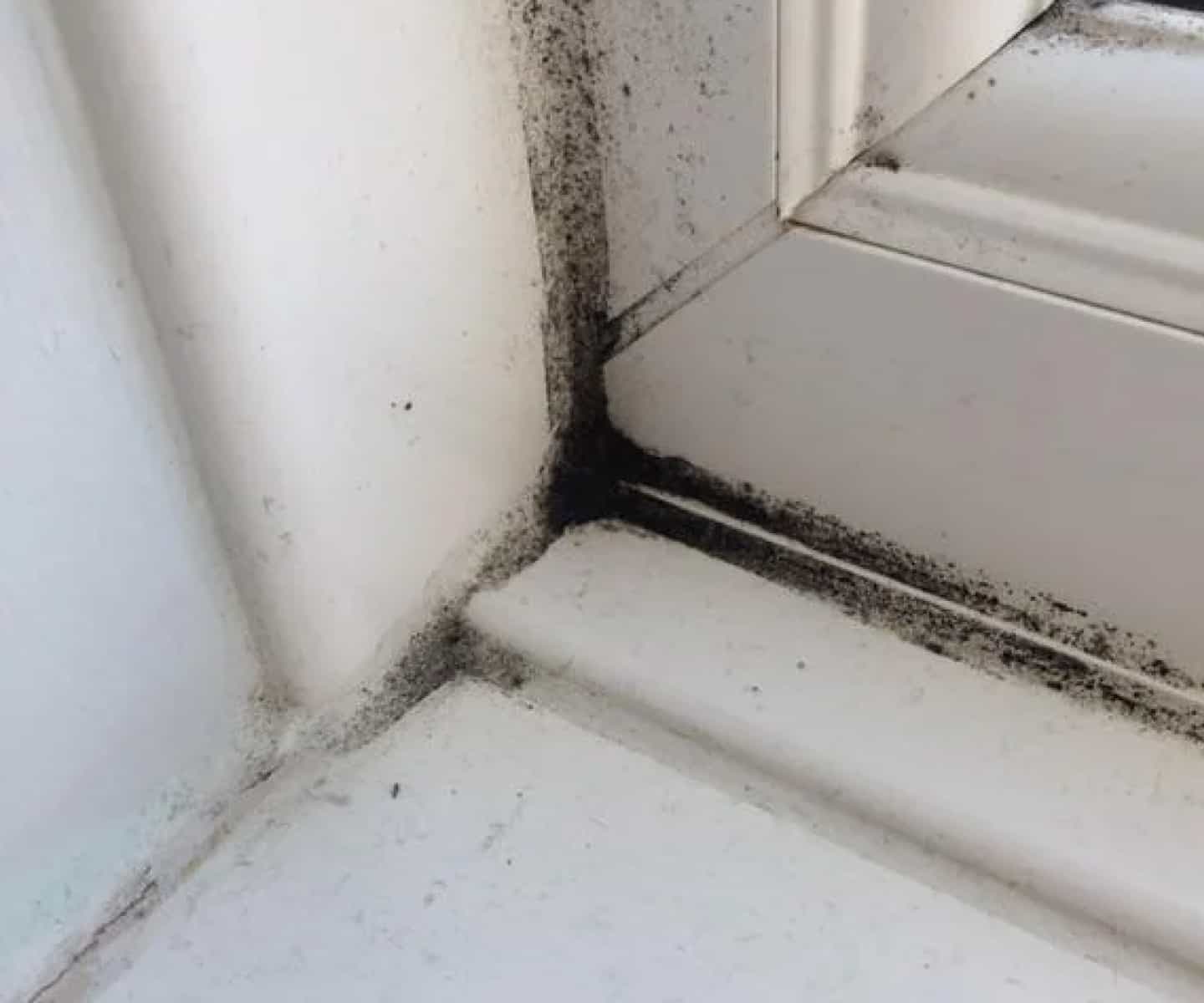 How to Get Rid of Mould from Windows
