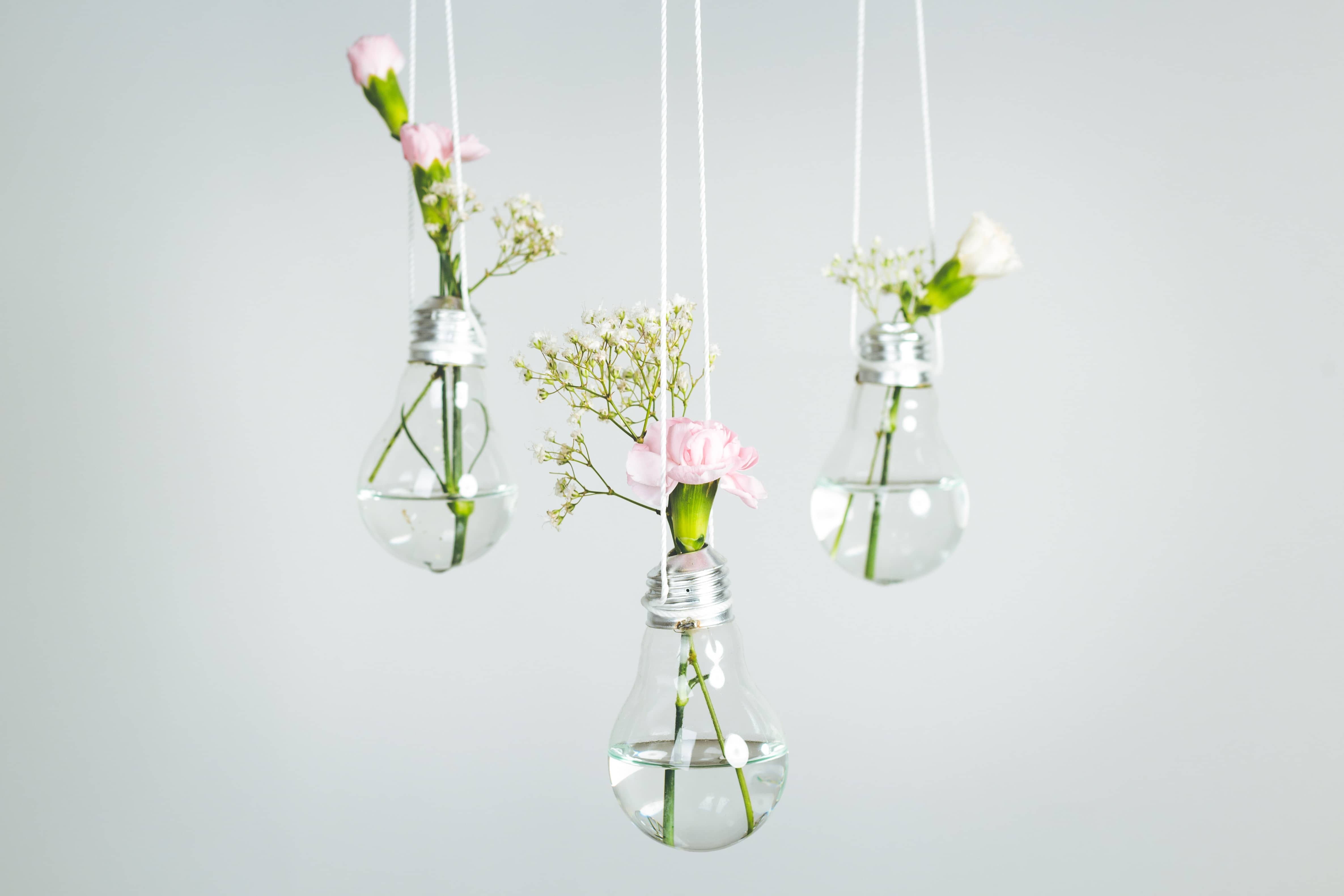 Light bulbs with flowers inside