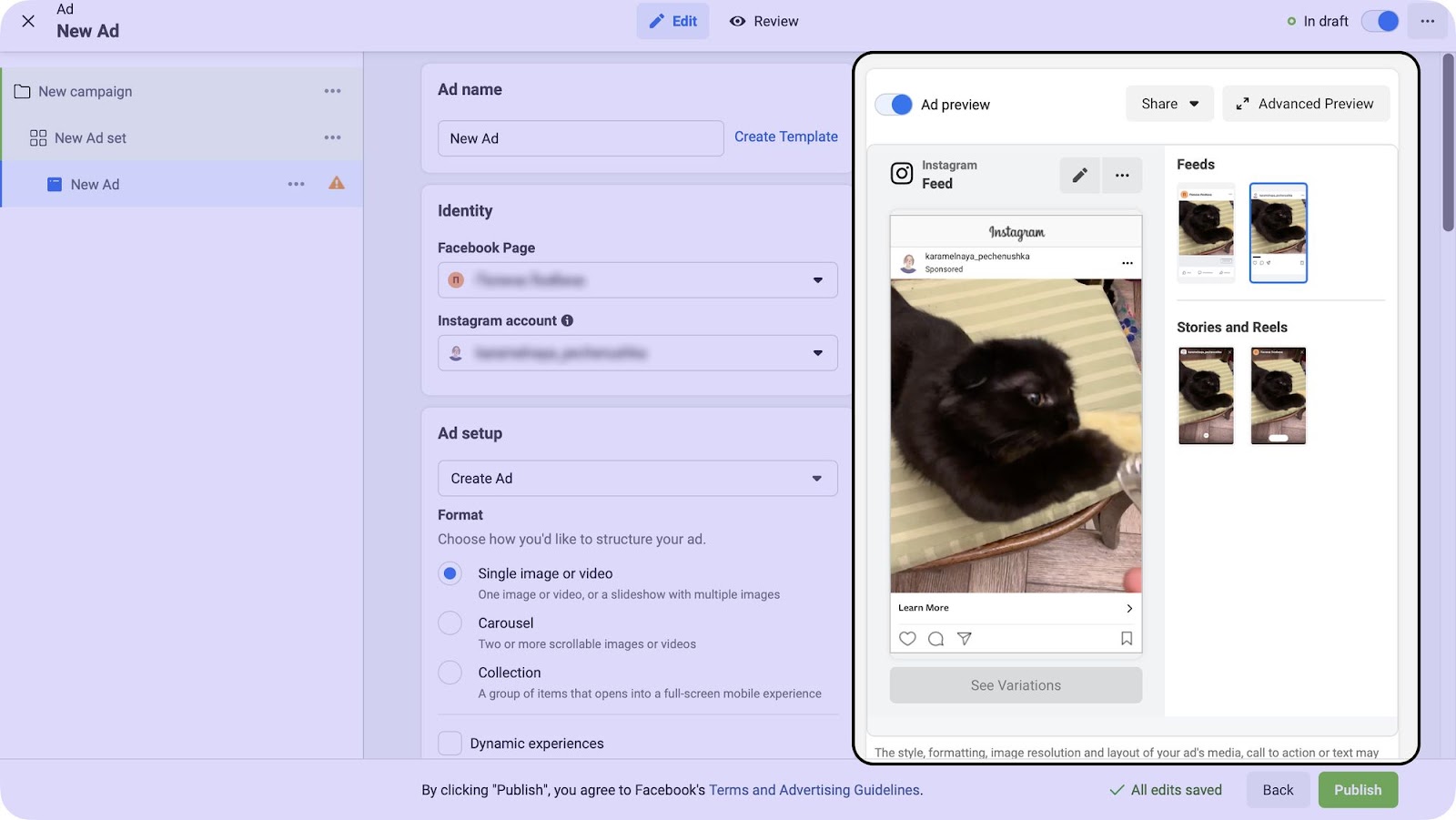 screenshot of Insense's platform using preview tool