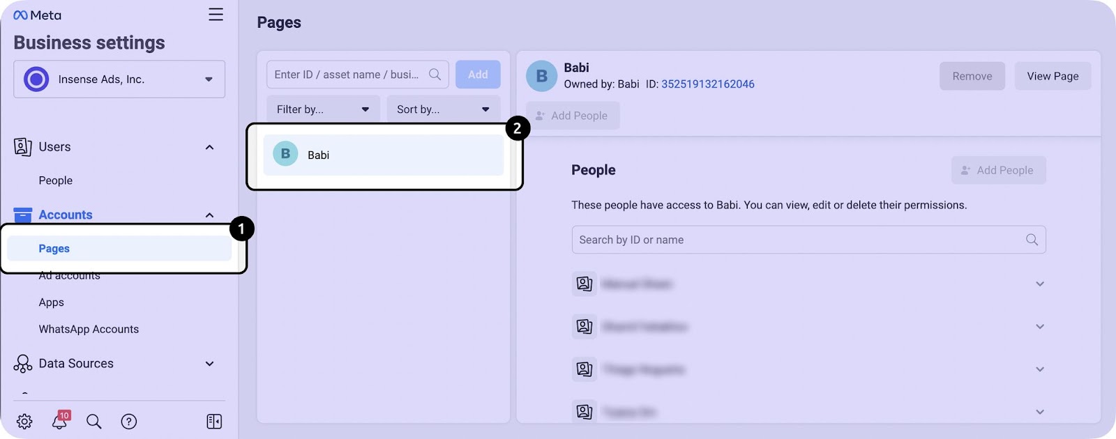 Insenses connect to ads manager step 3