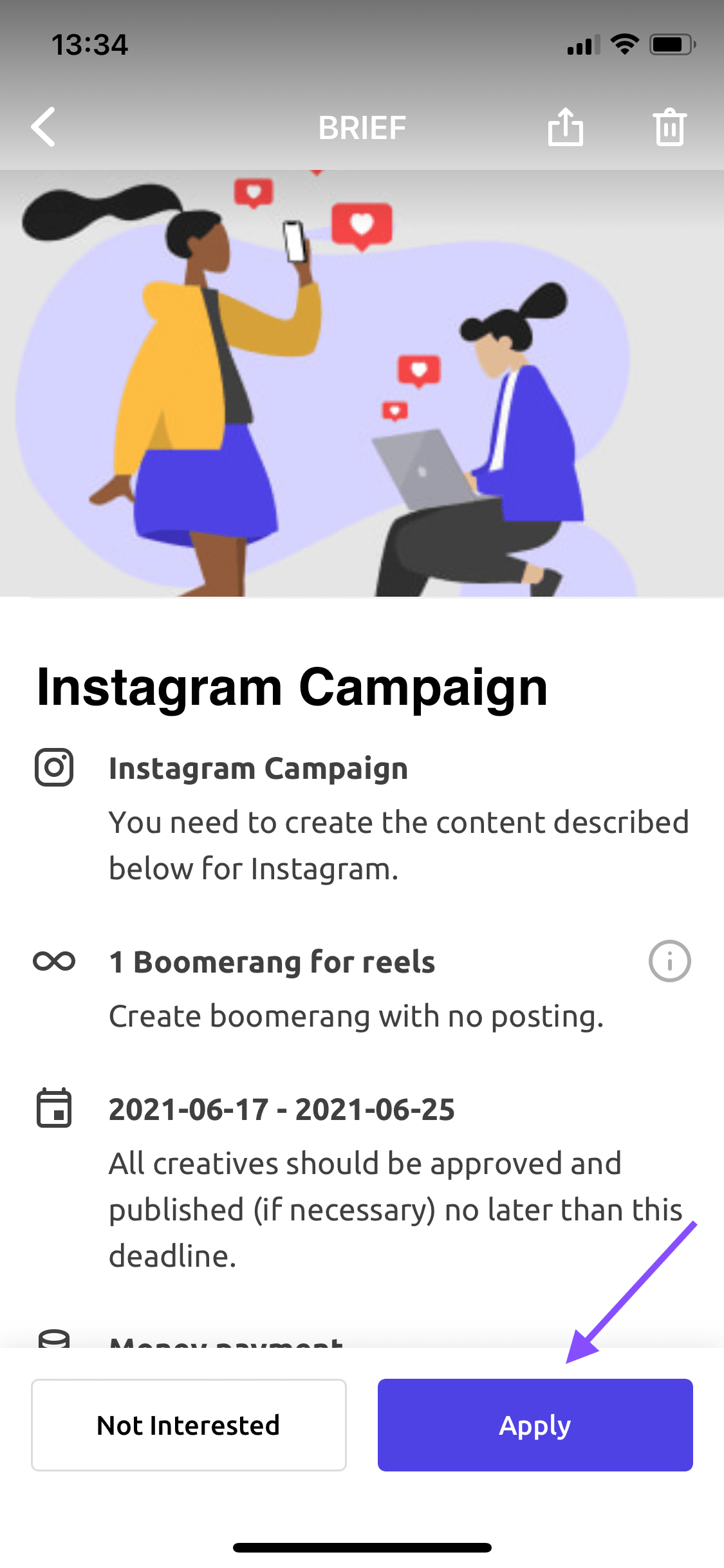 Insense App Giving Whitelisting Permissions