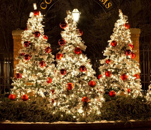 Columbus christmas lights map