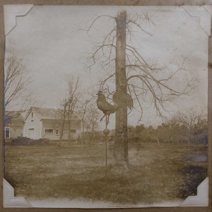 Rochester Iron Works Rooster Weathervane from Baptist Church