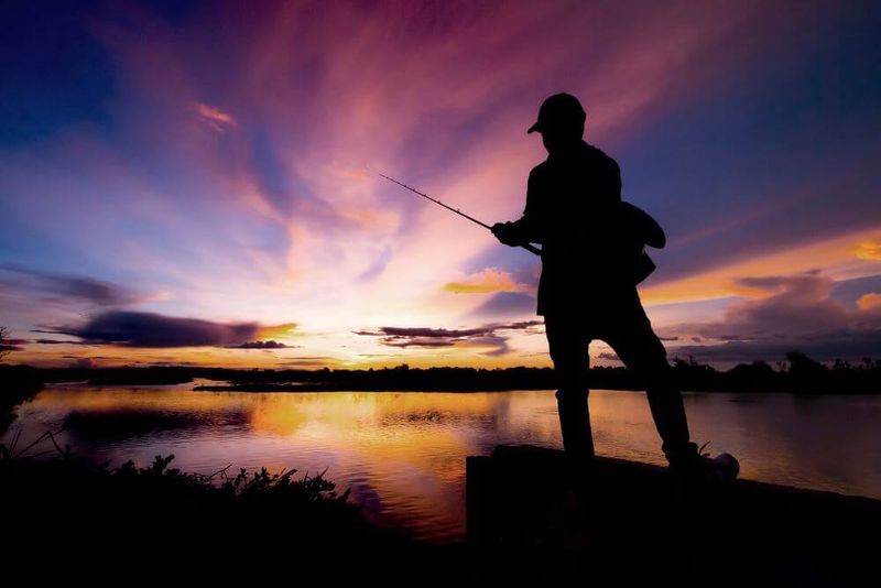 Best Lures for Bass Fishing at Night 4 Baits You Need for Night Time