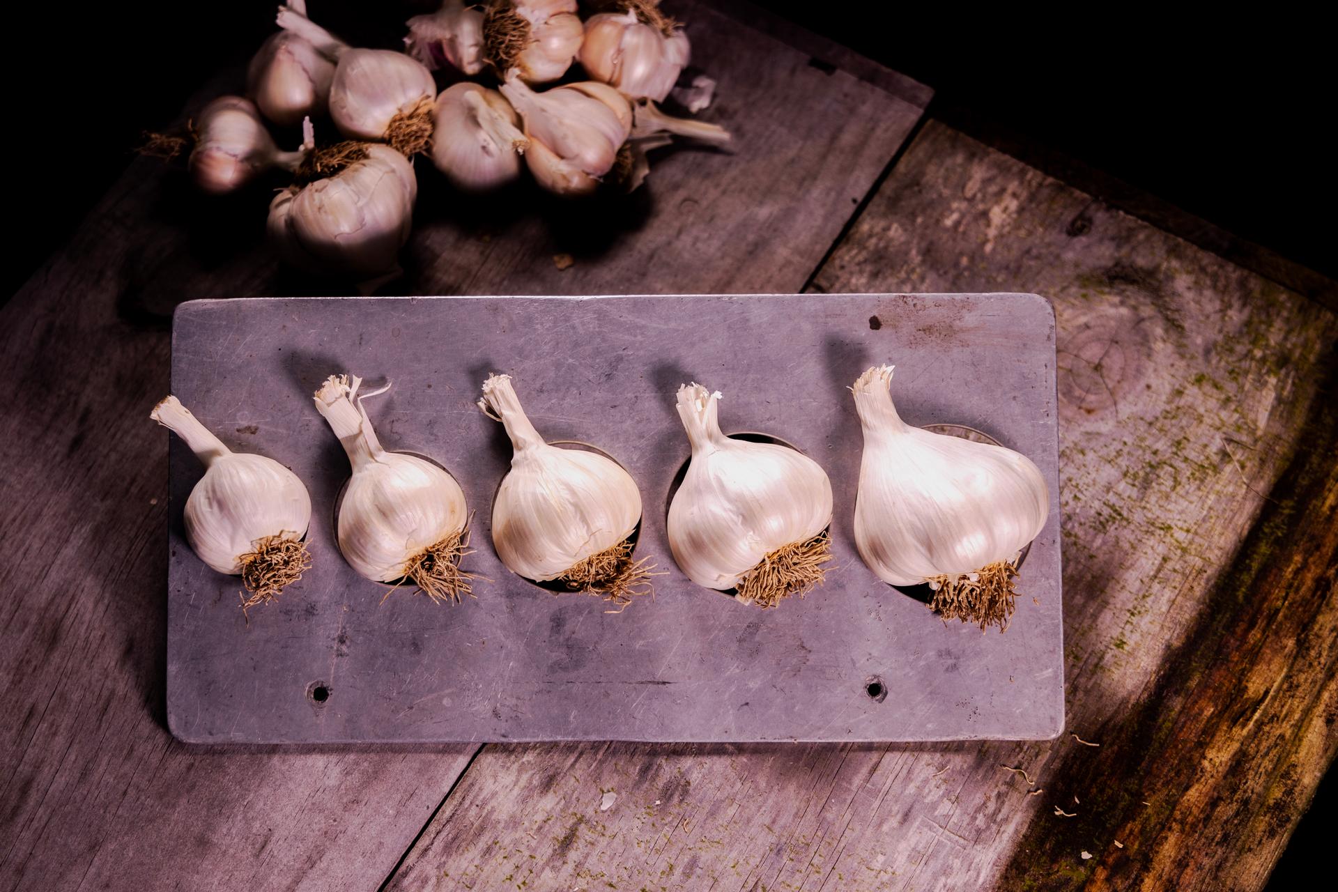 Marlborough Grown New Zealand Garlic