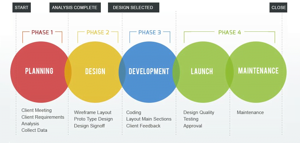 What Are The Steps In The Web Development Process