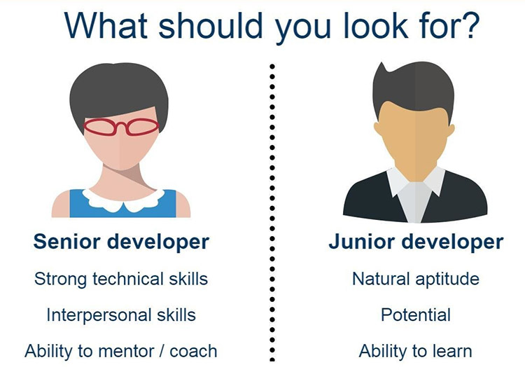 Difference between senior and junior frontend developer