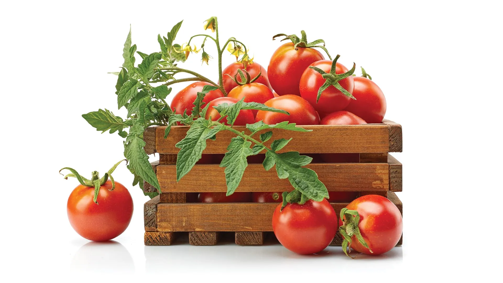 Core Crop - Sahyadri Farmers Producer Co Ltd