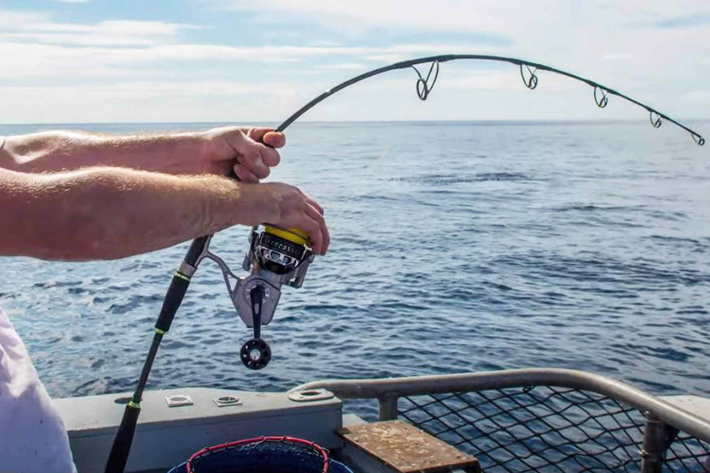 Fishing Report for How to land big fish