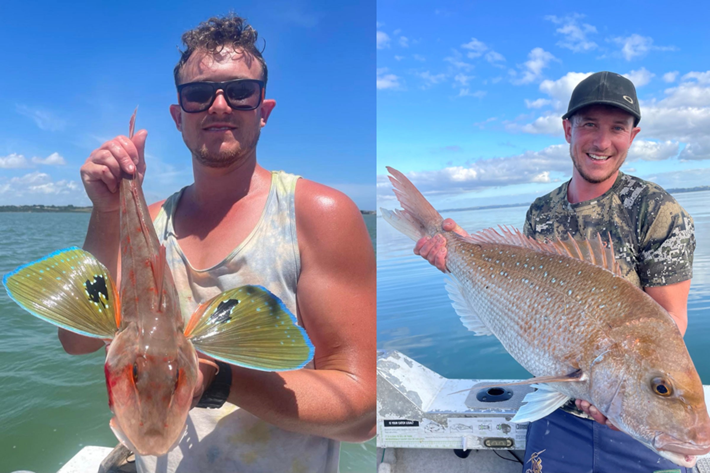 Fishing Report for Manukau Harbour and Auckland West Coast