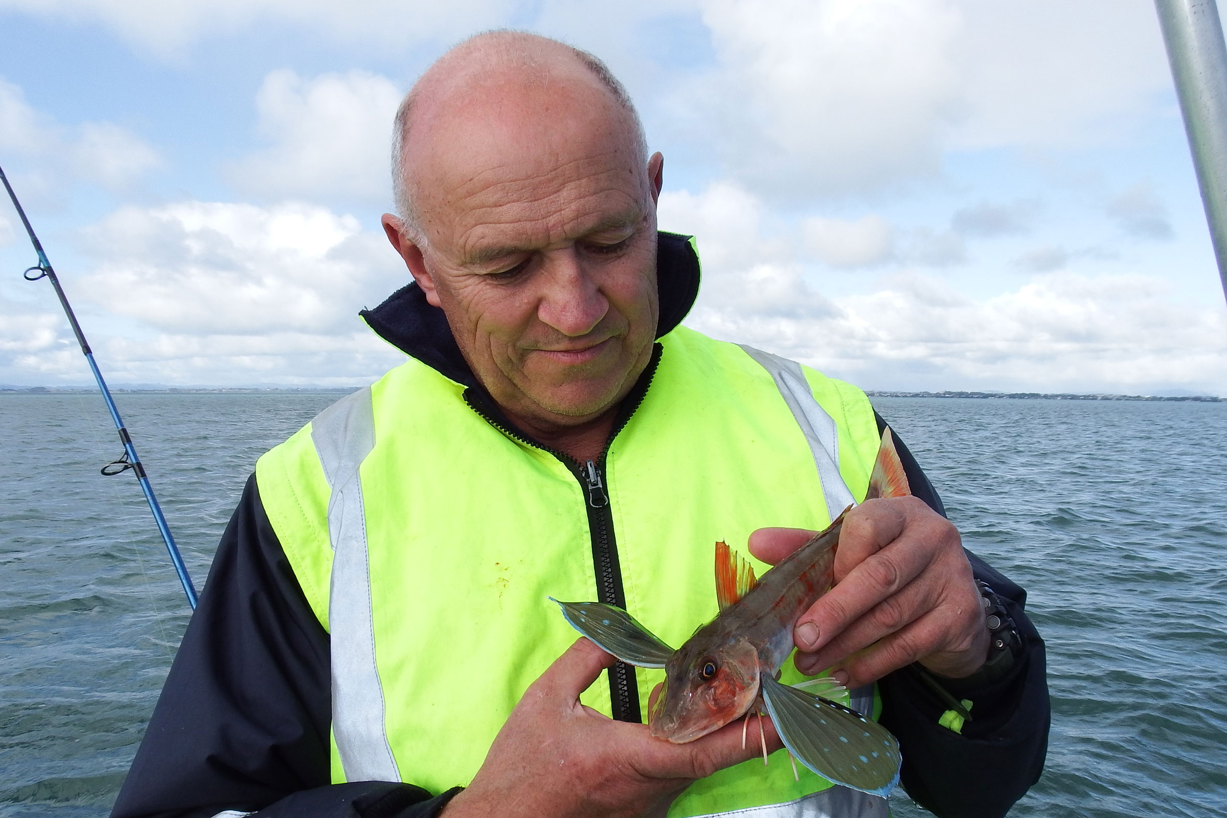 Fishing Report for Manukau Harbour and Auckland West Coast