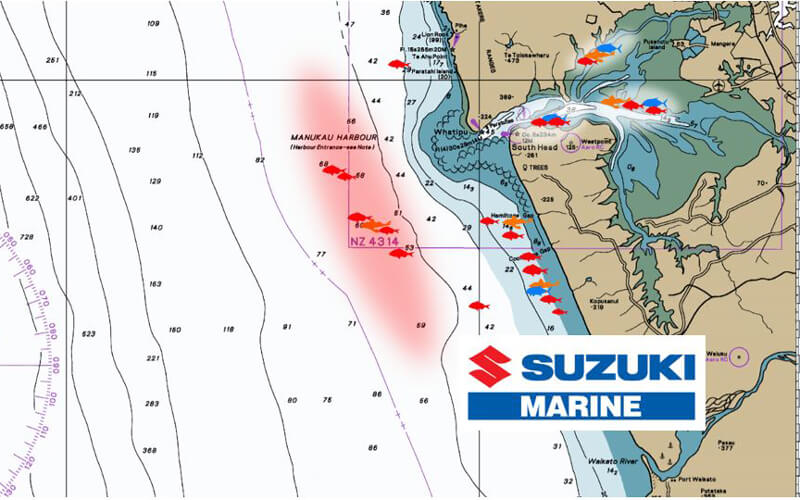 Fishing Report for Manukau / Auckland west coast 181019