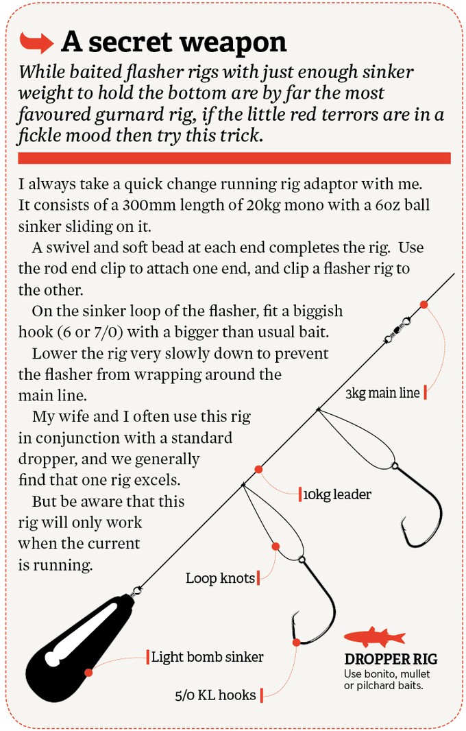 Fishing with the "Gurnard Guru" NZ Fishing World