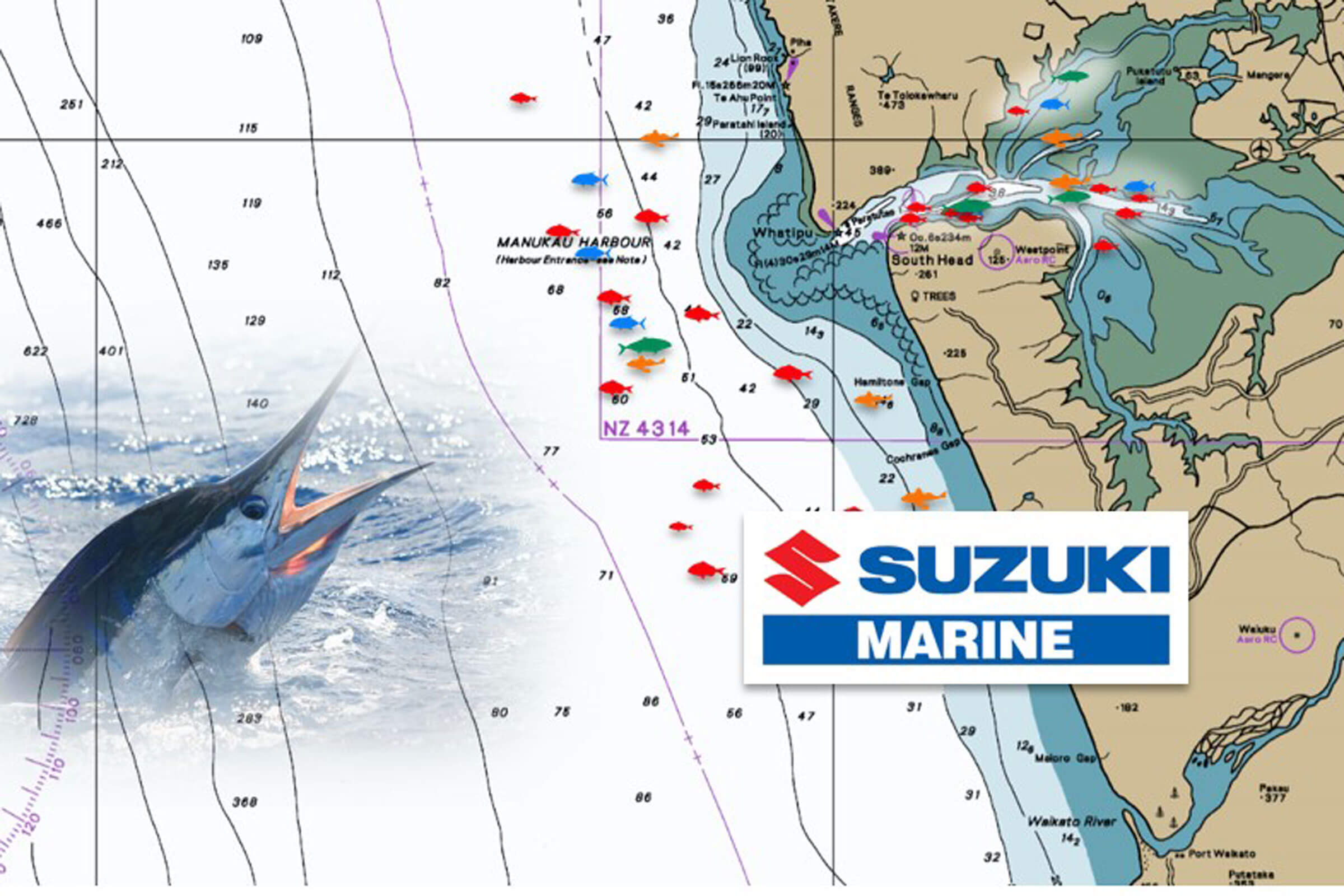 Fishing Report for Manukau and west coast Auckland December/January
