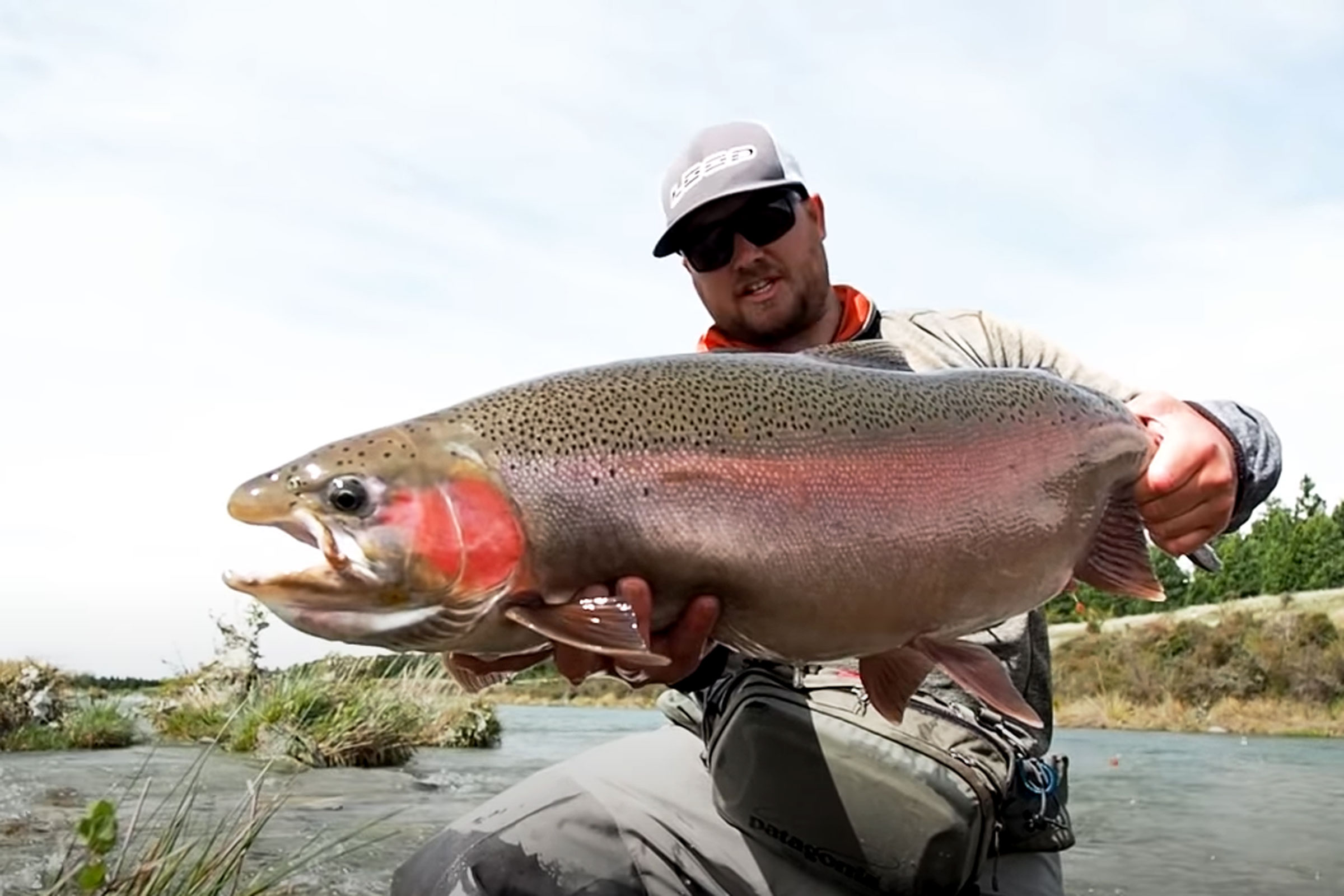 Sight fishing monster trout NZ Fishing World