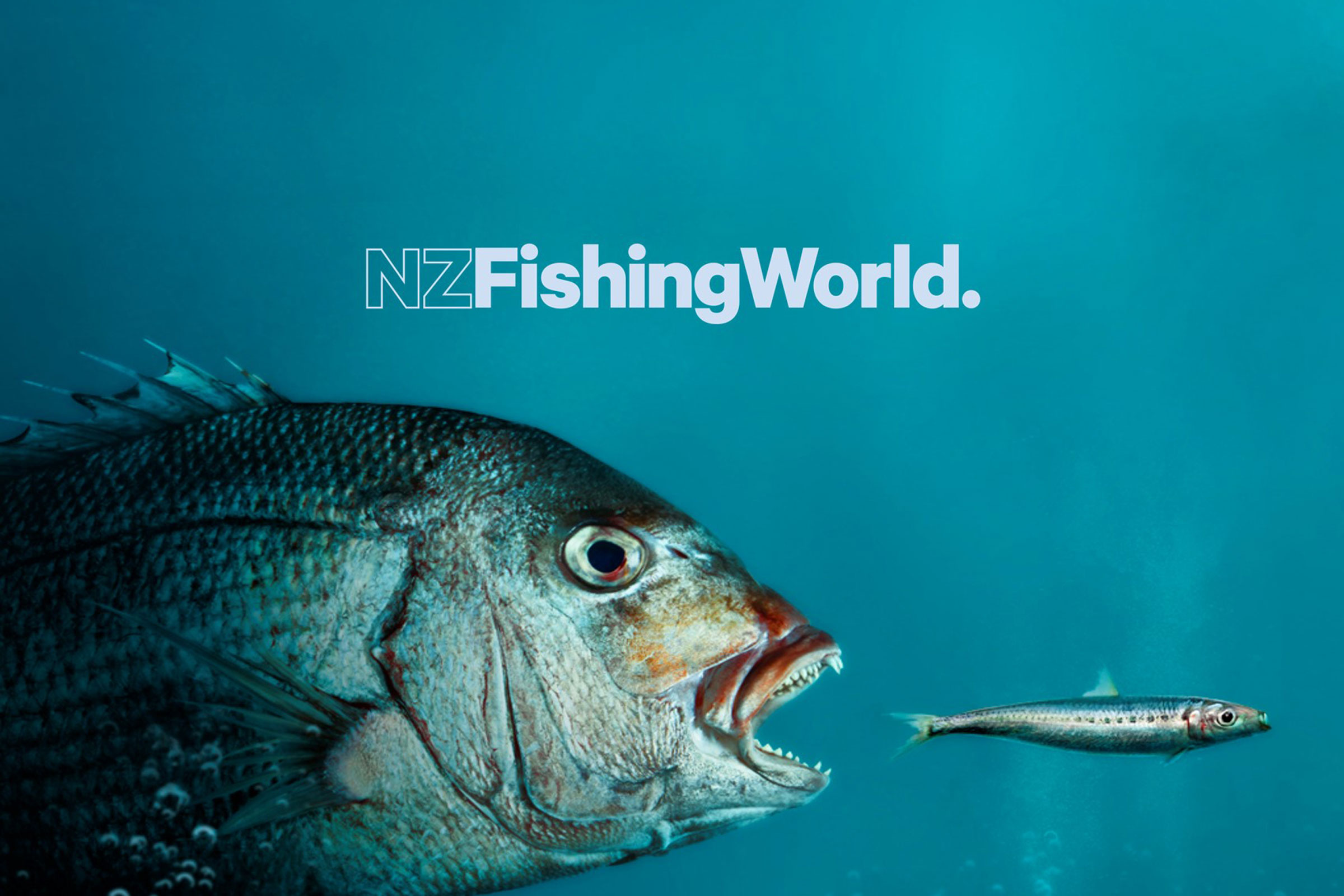 to the new NZ Fishing World NZ Fishing World
