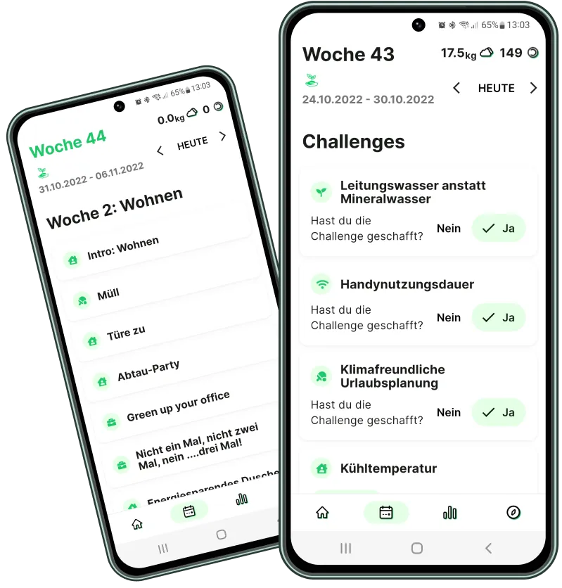 Challenges Mockup