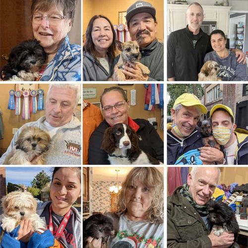 Countryside Kennels Top Quality Puppies from our Family to Yours