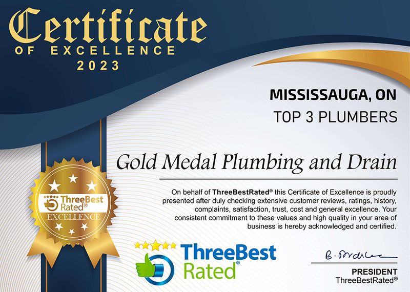 Mississauga Clogged Toilet Repair Gold Medal Plumbing and Drain