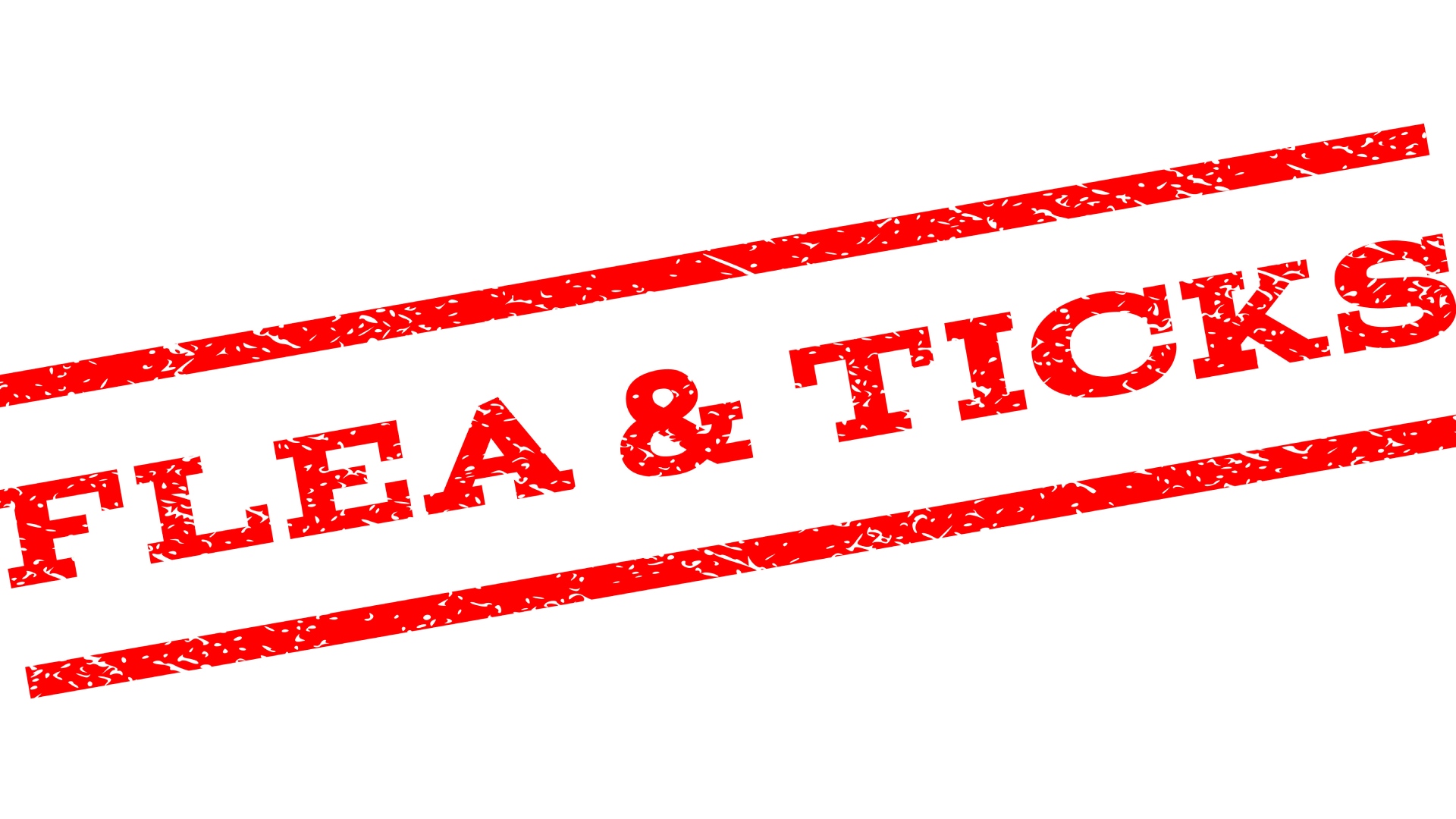 Keep Flea & Ticks Off of Your Property by Following These 3 Tips