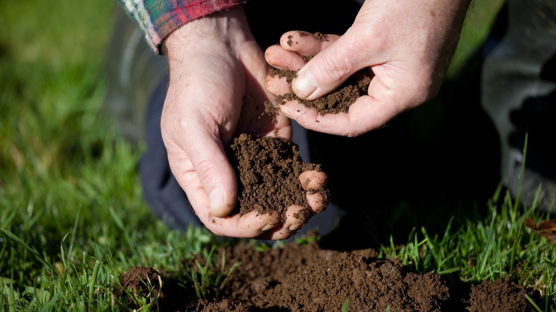 Soil Conditioning - Worth It or a Waste of Money?