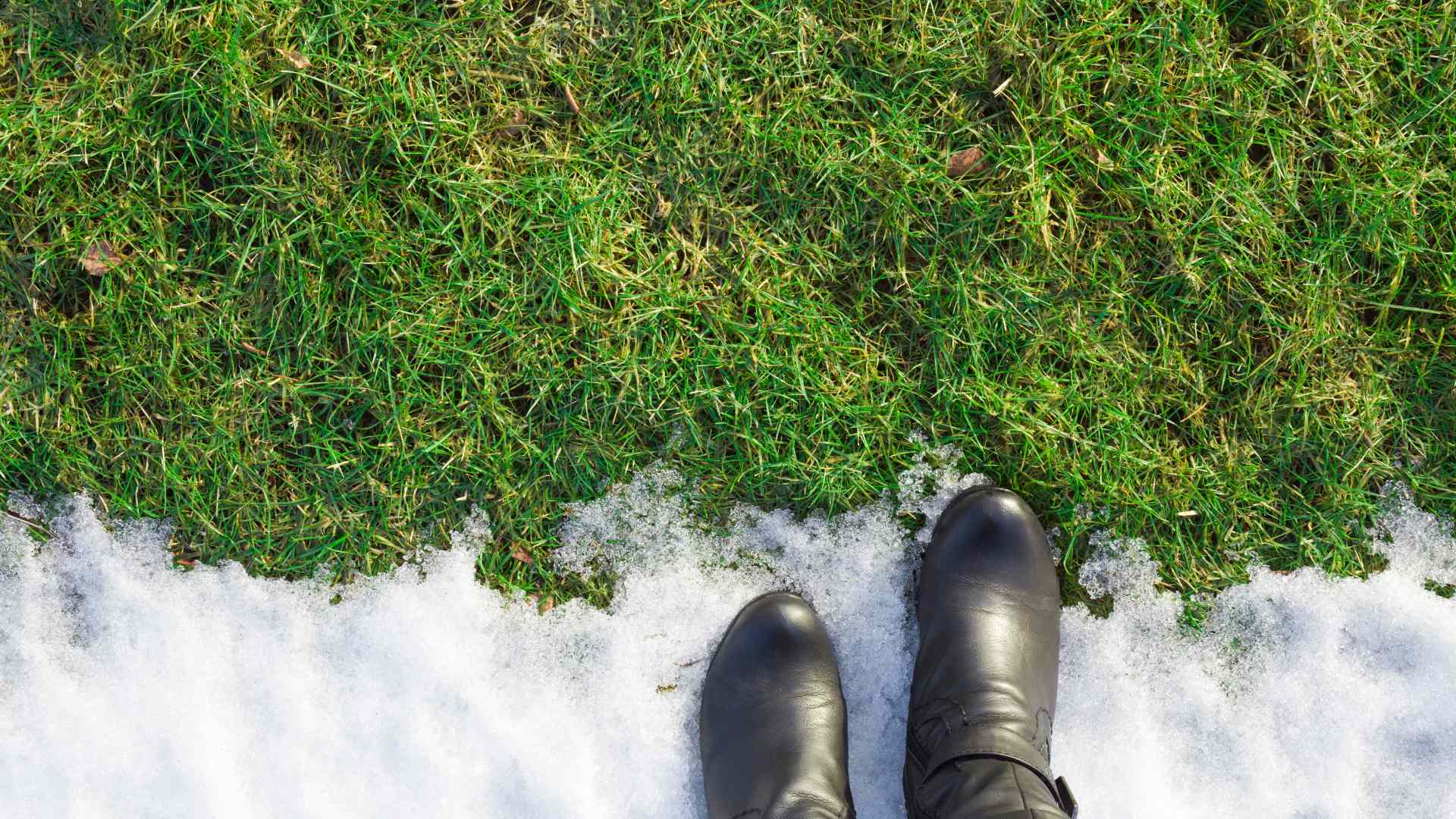 Your Guide to Rejuvenating Your Lawn After Winter