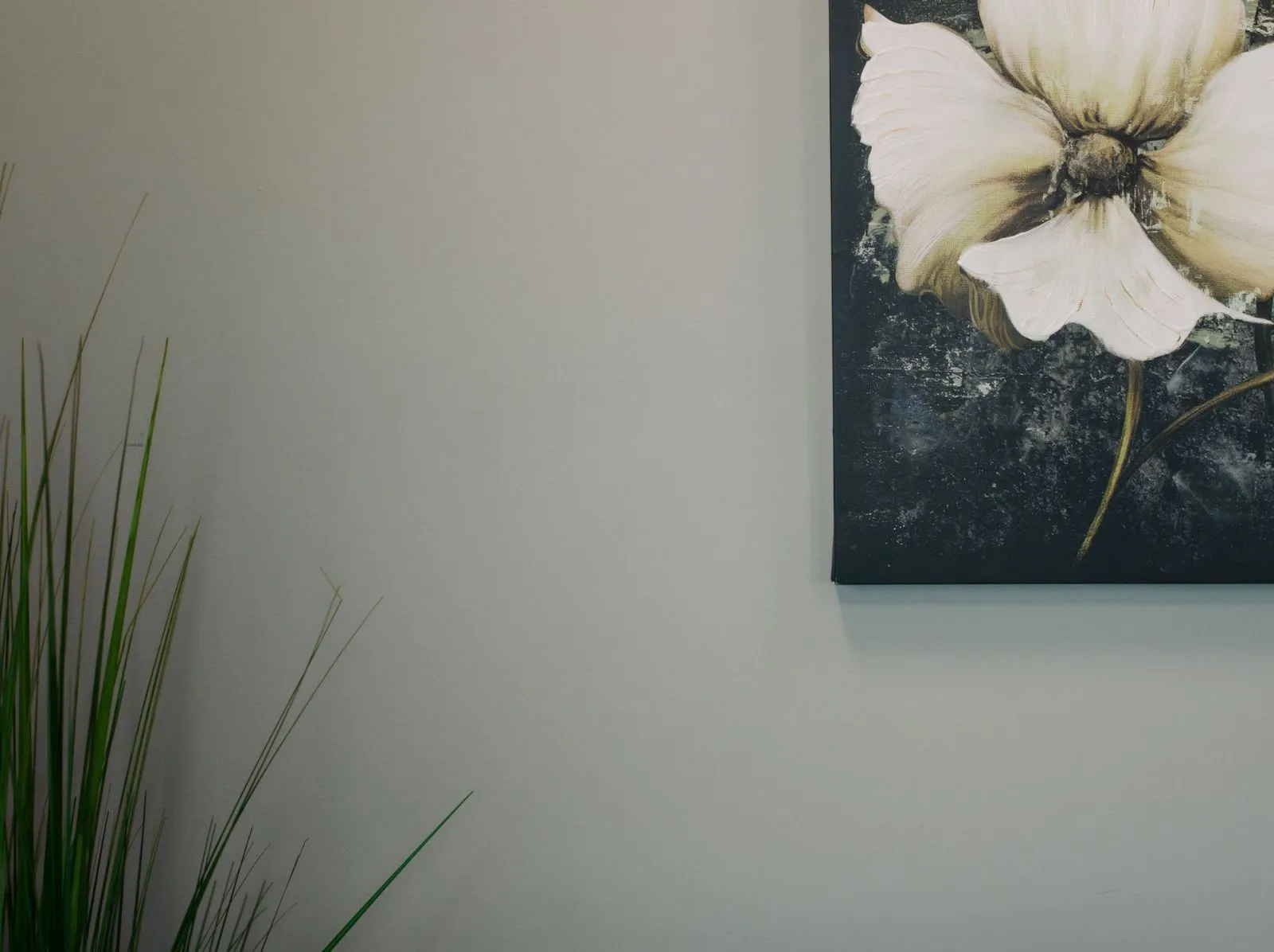 Dentist in Dassel, MN Dassel Dental