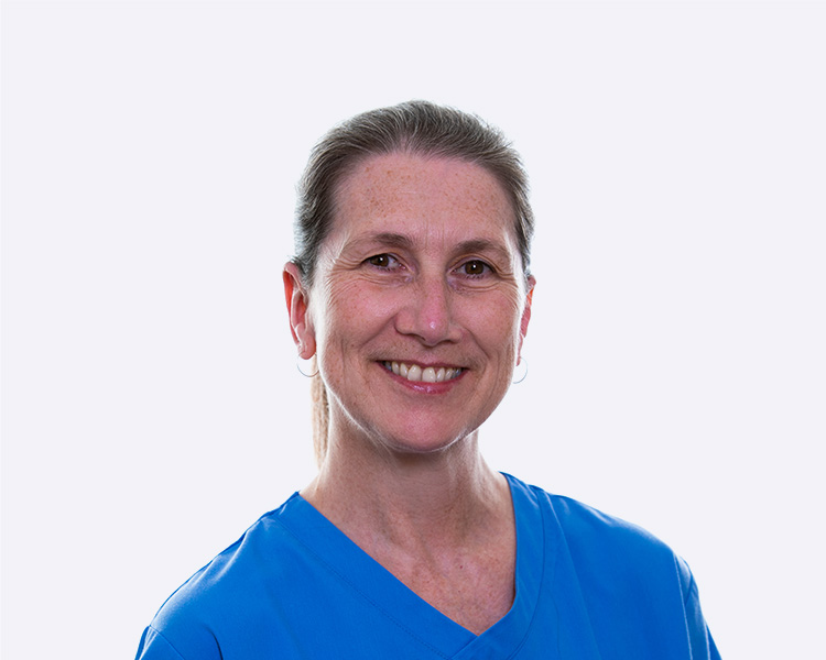 Hilton Dental Clinic team The best general and cosmetic dentists in