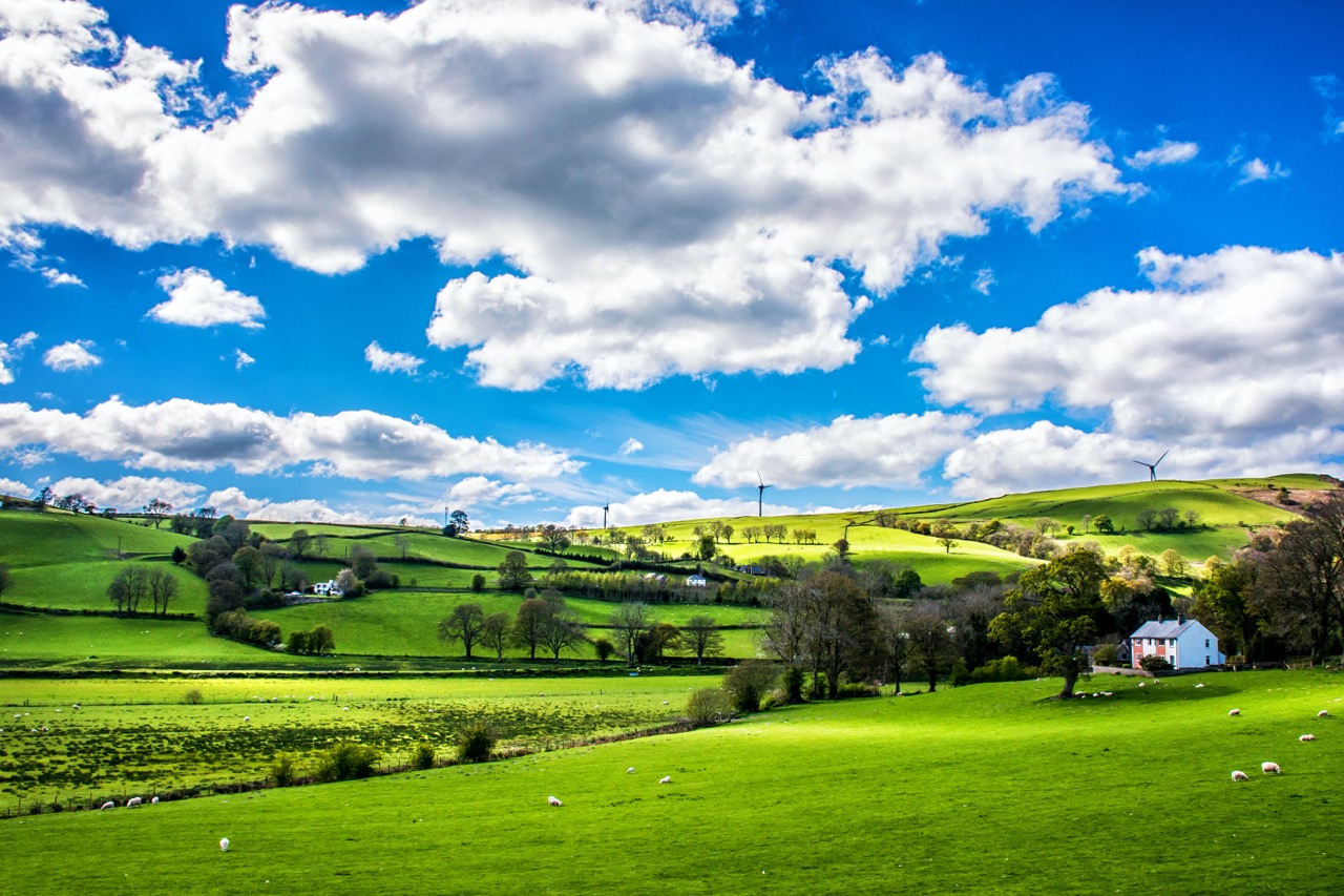 Can Canadian Food Technologies Drive the Next Green Revolution?