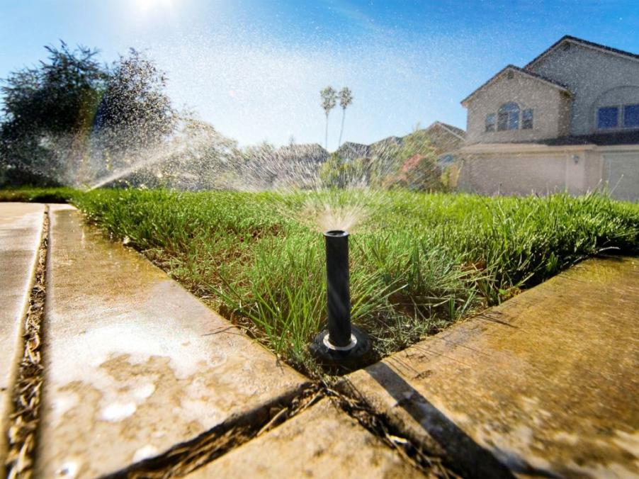 Lawn Watering Tips Here’s the Best Time to Water Your Grass Always