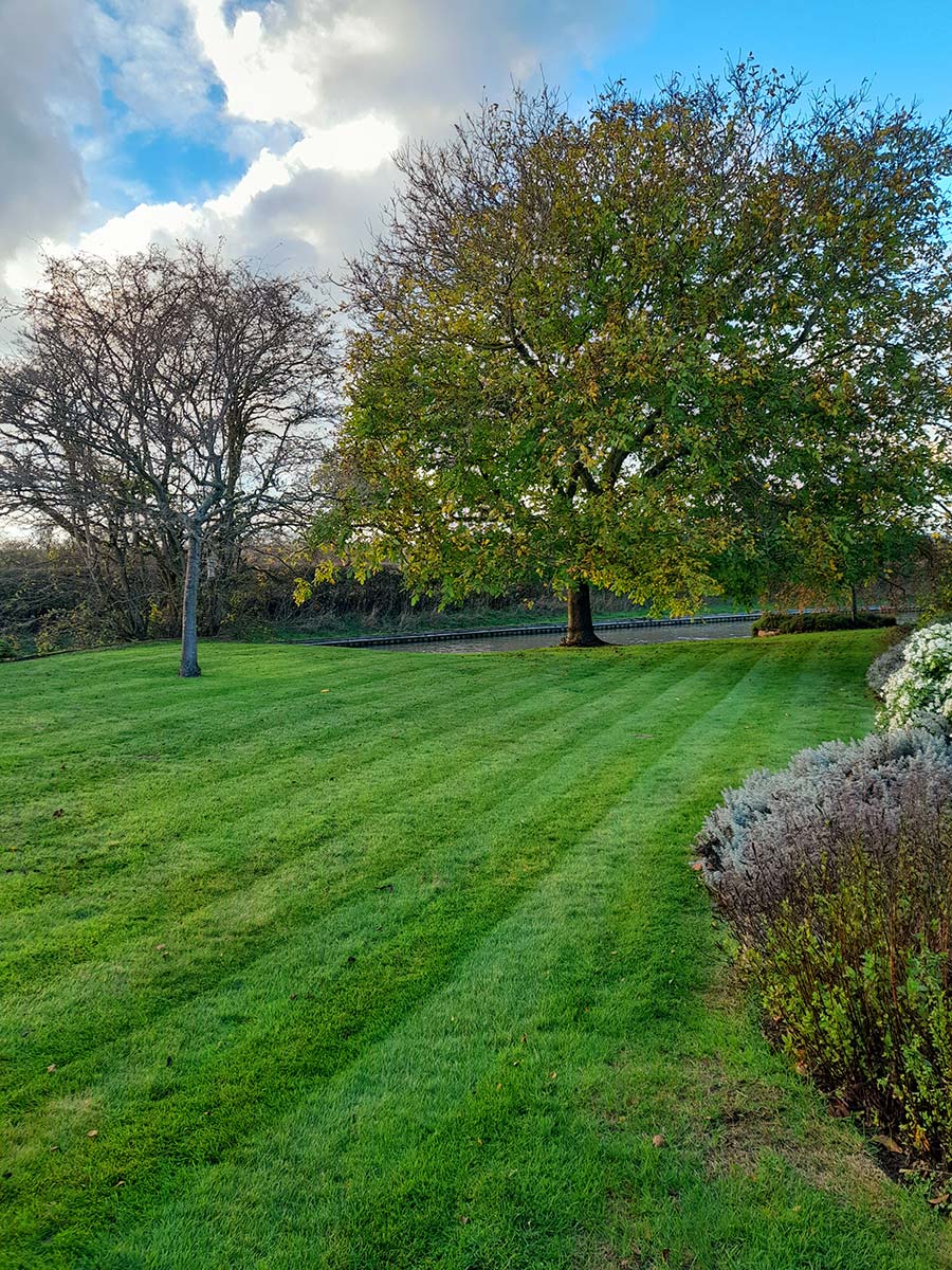 rugby-grass-cutting-professional-lawn-cutting-service