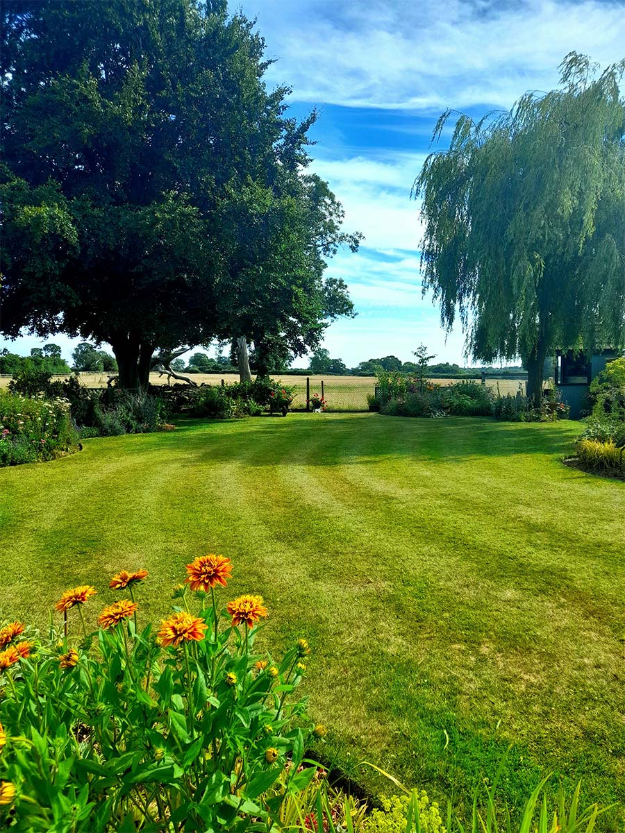 rugby-grass-cutting-professional-lawn-cutting-service