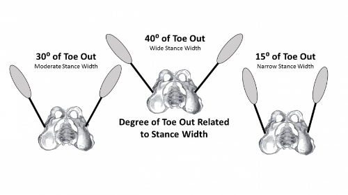 Foot Rotation Squat Feet Position In The Squat
