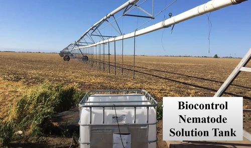 Resources | Persistent BioControl