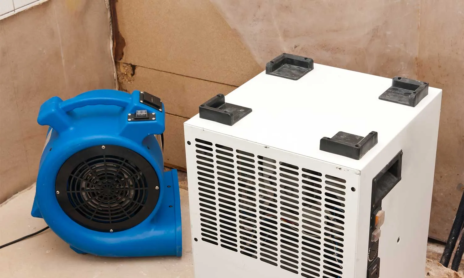 Residential and Commercial Carpet and Floor Cleaning Services in